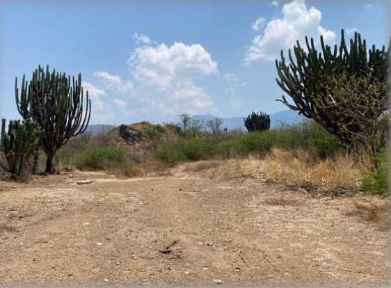 Terreno en Tlacolula