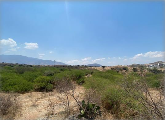 Terreno en Tlacolula