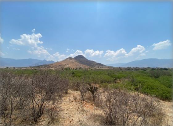 Terreno en Tlacolula