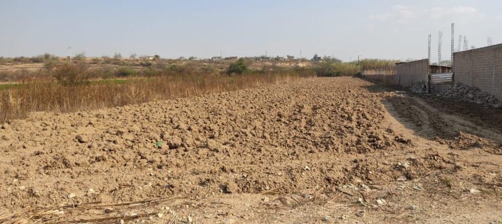 Prometedor terreno: rentabilidad y potencial asegurados para inversionistas exigentes. Reyes Etla, Oaxaca
