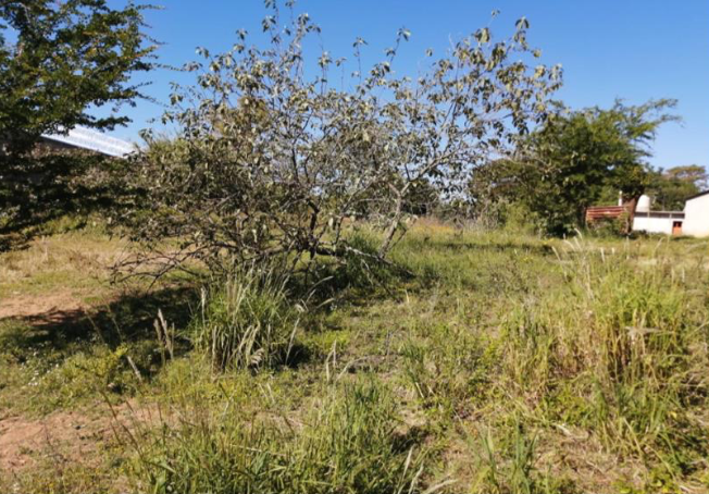 Terrenos en venta Oaxaca | Terreno en Tlalixtac, Oaxaca