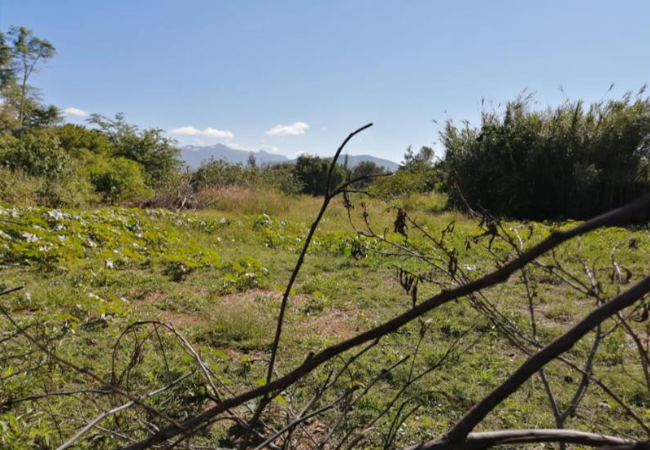 Terreno a la venta en Tlalixtac, Oaxaca
