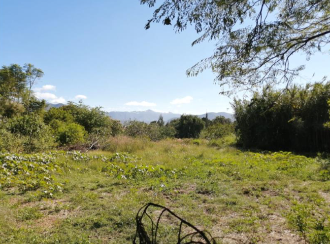 Terreno a la venta en Tlalixtac, Oaxaca