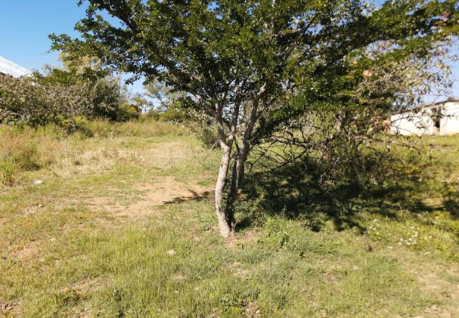 Terreno a la venta en Tlalixtac, Oaxaca