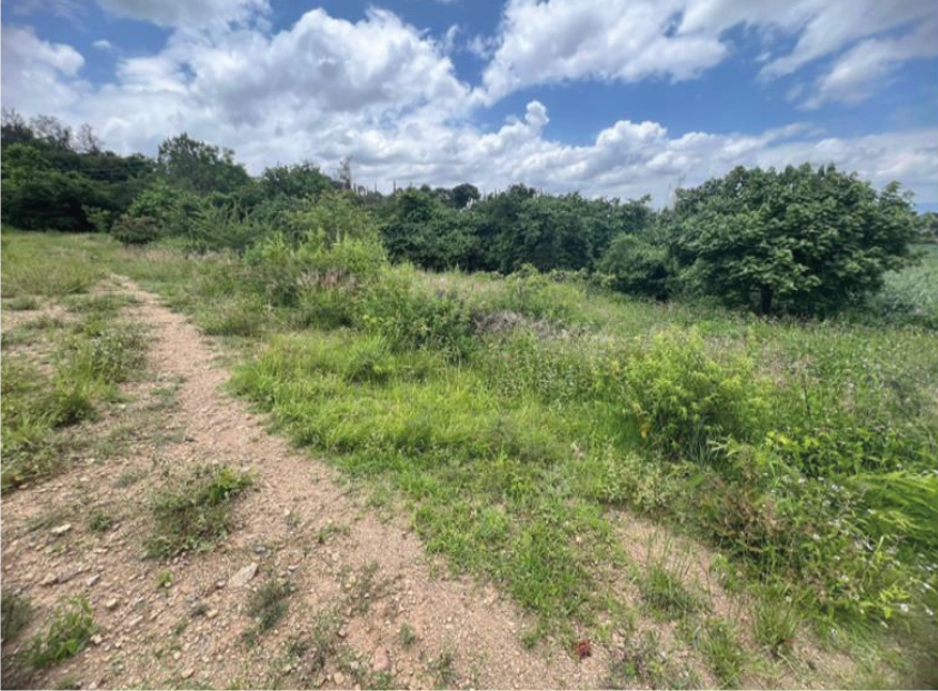 Terreno en Santa Cruz Etla