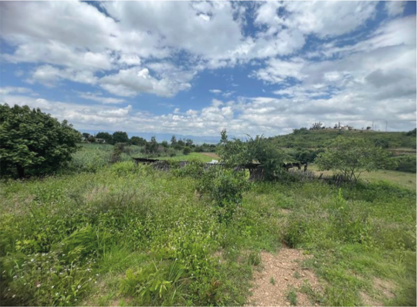 terreno-santa-cruz-etlac@3x