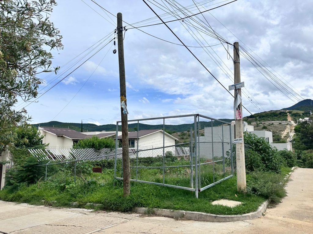 WhatsApp Image 2025-07-17 at 13.19.21