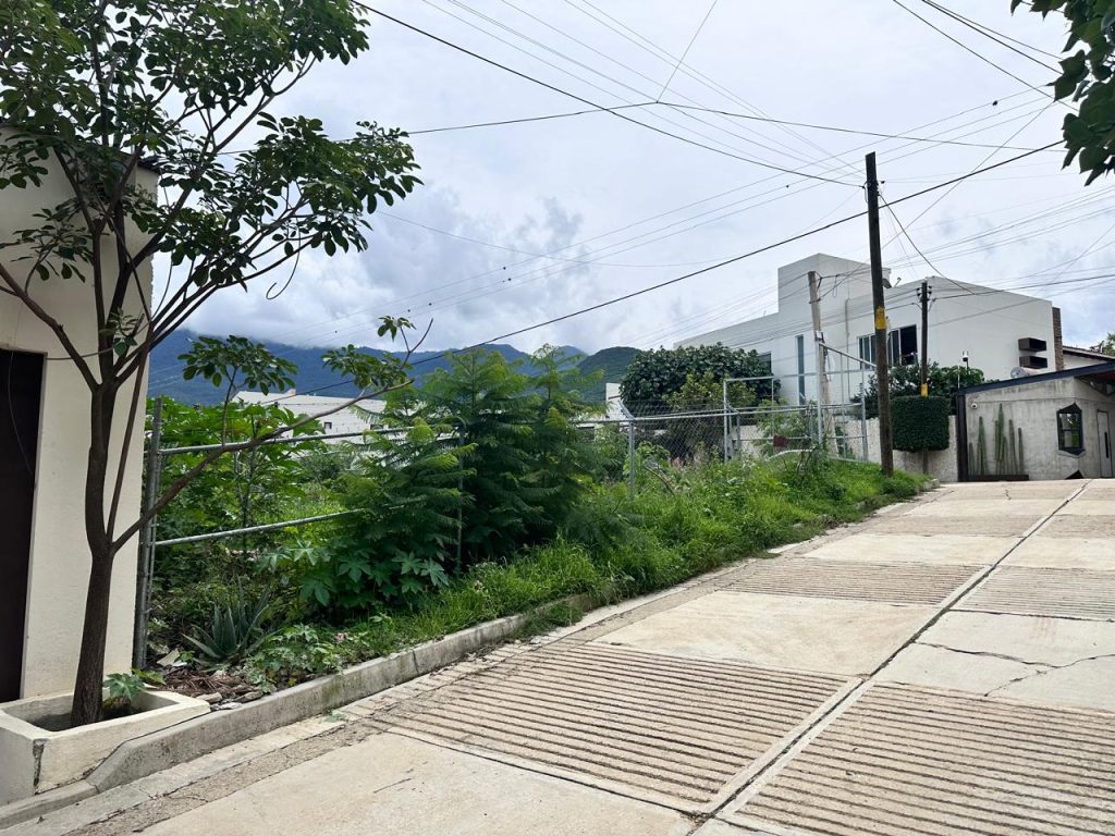 WhatsApp Image 2025-07-17 at 13.19.22