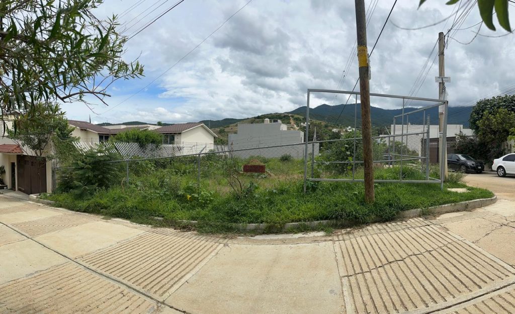 WhatsApp Image 2025-07-17 at 13.19.27