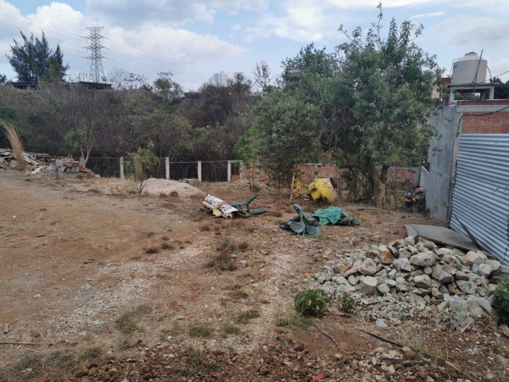 PHOTO-2026-02-25-20-59-12