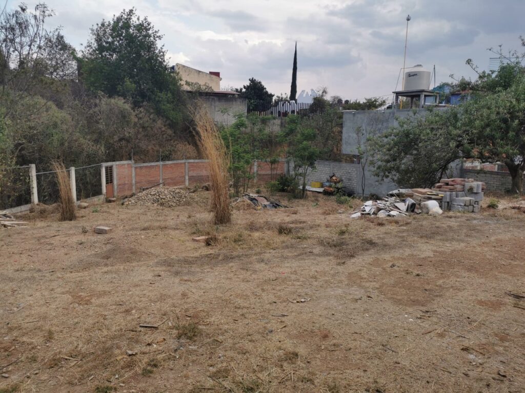 PHOTO-2026-02-25-20-59-13