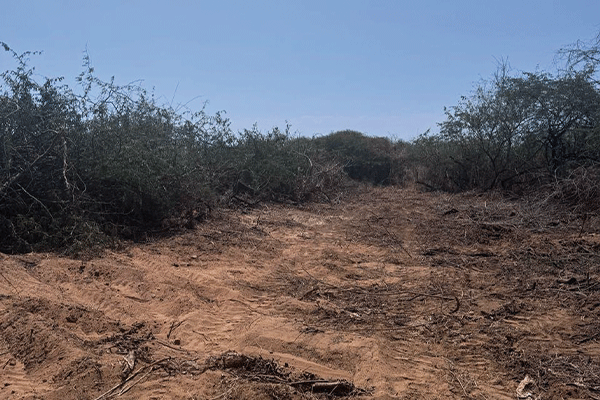 terreno-colotepec_0000_WhatsApp-Image-2026-04-07-at-09.20.40-8