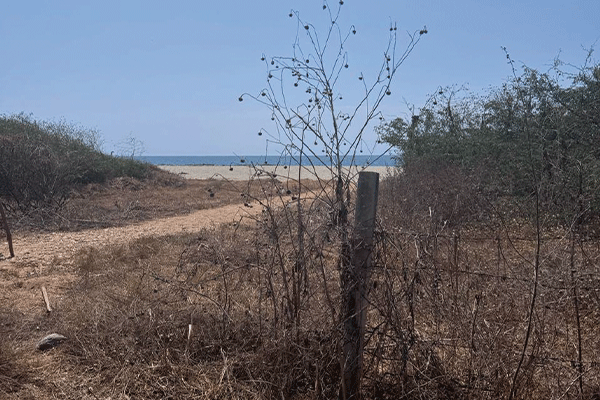 terreno-colotepec_0001_WhatsApp-Image-2026-04-07-at-09.20.40-7