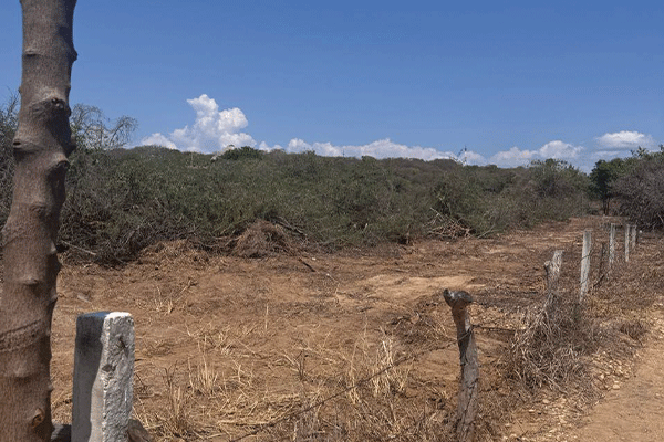 terreno-colotepec_0002_WhatsApp-Image-2026-04-07-at-09.20.40-6