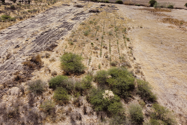 tlacolula-oaxaca_0000_DJI_0046