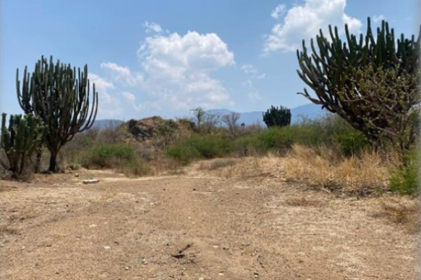 Terreno en Tlacolula
