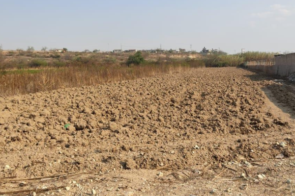 Prometedor terreno: rentabilidad y potencial asegurados para inversionistas exigentes. Reyes Etla, Oaxaca