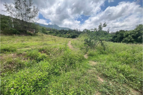 terreno-santa-cruz-etlad@3x